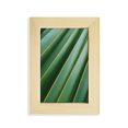 thumbnail image 1 of Green Nature Photograph Desktop Display Photo Frame Picture Art Painting 5x7 inch, 1 of 3