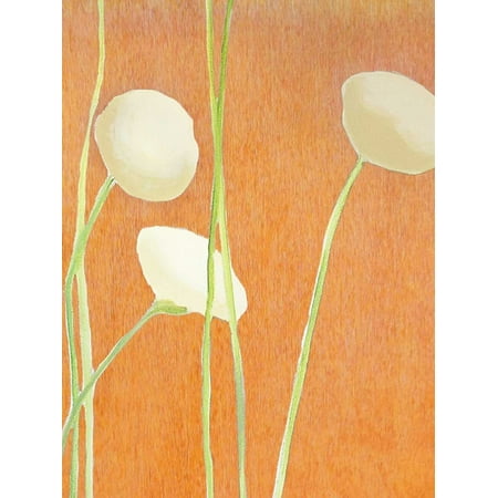 Cream Flowers on Orange Poster Print by India & (Best Flowers In India)