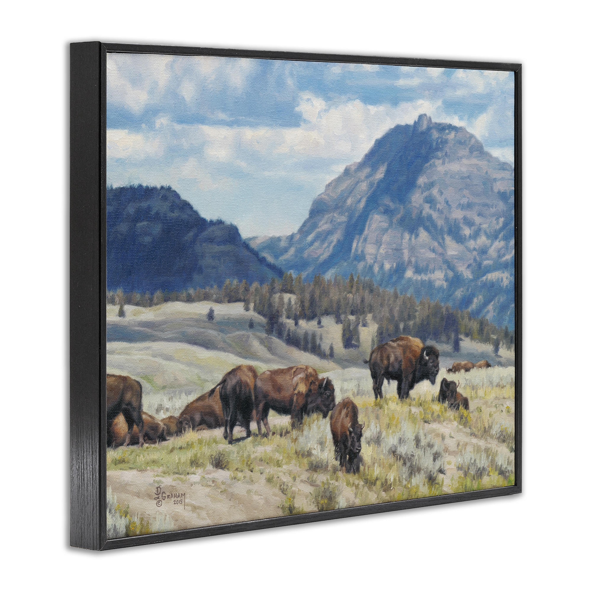 Stupell Industries Sunny Afternoon Bison Landscape Painting Black Framed Art Print Wall Art, 30 x 24
