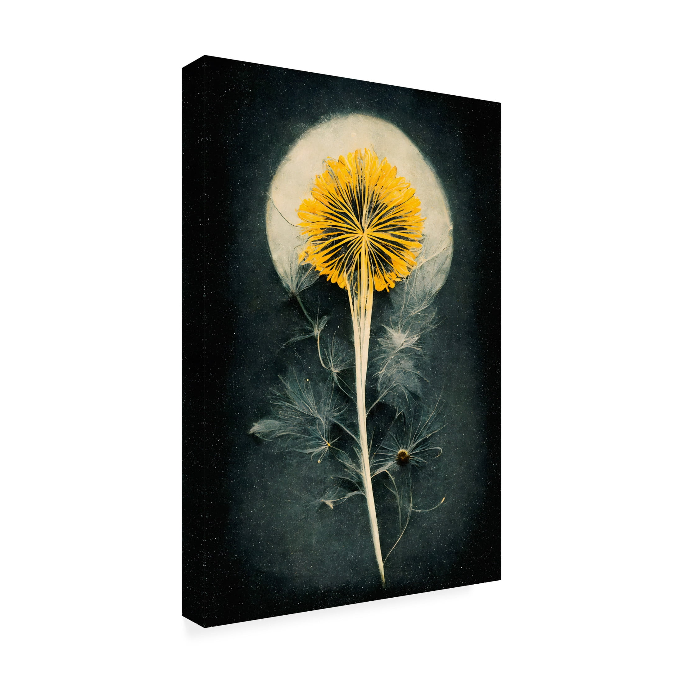 Canvas Wall Art - Treechild 'Dandelion' Wall Art for Living Room, Bedroom, or Office D?cor by Trademark Fine Art - 12 x 19 Inches