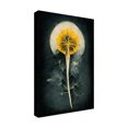 thumbnail image 4 of Canvas Wall Art - Treechild 'Dandelion' Wall Art for Living Room, Bedroom, or Office D?cor by Trademark Fine Art - 22 x 32 Inches, 4 of 4