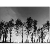 Trademark Fine Art "Xochimilco" Canvas Art by Moises Levy