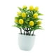thumbnail image 4 of Mini planta falsa, plantas artificiales en maceta, bonsái creativo, flores falsas, plantas falsas Limón, 4 of 9