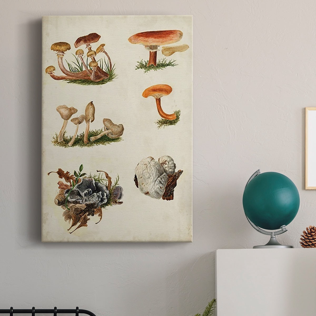 Mushroom Species X Premium Gallery Wrapped Canvas - Ready to Hang