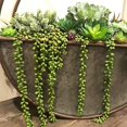 thumbnail image 5 of 3pcs Artificial Fake String of Pearls Plant Faux Succulents Hanging Plants for Wall Home Garden Decor, 5 of 5