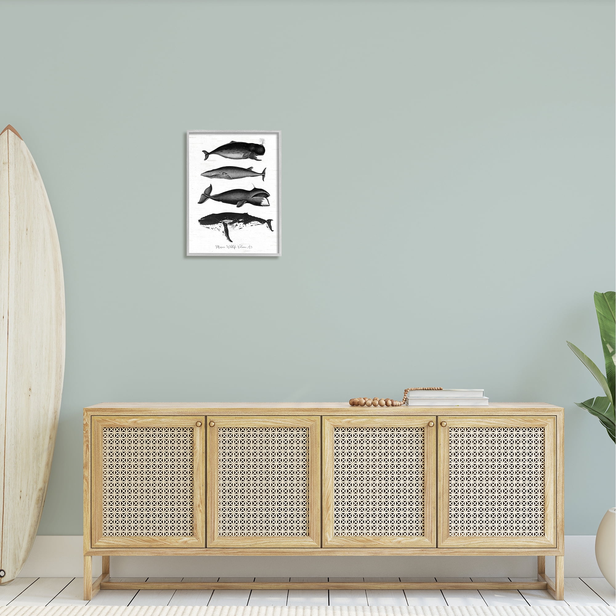 Stupell Industries Marine Wildlife Whales Drawings Diagram Weathered Pattern Graphic Art Gray Framed Art Print Wall Art, Design by Lettered and Lined