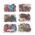 thumbnail image 4 of Real Dried Flowers Plants Pressed For Resin Jewellery Making Craft DIY Accessory, 4 of 8