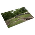thumbnail image 3 of Print: Historic Ruins Of Truman Capote's Boyhood Home In Monroeville, 3 of 4