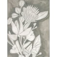 thumbnail image 2 of Vess, June Erica 12x14 White Modern Wood Framed Museum Art Print Titled - Spectral Blooms II, 2 of 4