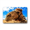 thumbnail image 1 of RYLABLUE Camel Doormat Indoor Outdoor Floor Rug 30x18 inches, 1 of 1