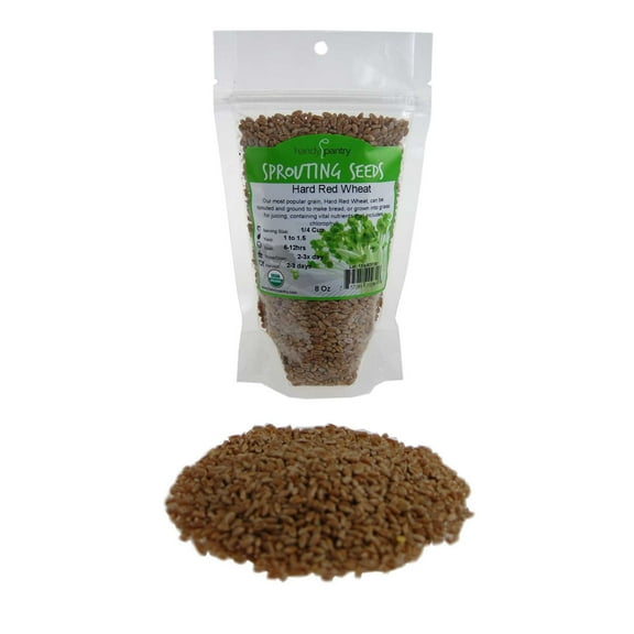 Handy Pantry Organic Wheatgrass Seeds - For Wheat Grass, Cat Grass, Food Storage & More - Hard Red Wheat (1/2 Pound)