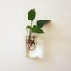 thumbnail image 3 of 2pcs Arte De De Cristal Florero Florero Terrario Contenedor Botella Colgante Planta De Bricolaje, 3 of 4