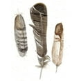 thumbnail image 2 of Ludwig, Alicia 19x24 Gold Ornate Wood Framed with Double Matting Museum Art Print Titled - Custom Earthtone Feathers I (ASH), 2 of 4