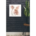 thumbnail image 2 of Epic Art 'Farm Friends III' by Lisa Audit, Acrylic Glass Wall Art, 24"x24", 2 of 3