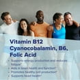 thumbnail image 5 of Superior Source No Shot Vitamin B-12 Cyanocobalamin 1000 mcg, B-6, Folic Acid & Vitamin D-3 1000 IU - Supports Energy, Brain, Heart, & Bone Health - 100 Sublingual Dissolving Tablets, 5 of 8