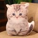 thumbnail image 4 of Puntoco Almohada de imitación de gatito, juguete de peluche, perro, pomerania, muñeca, niñas, almohada cómoda para dormir, 4 of 5
