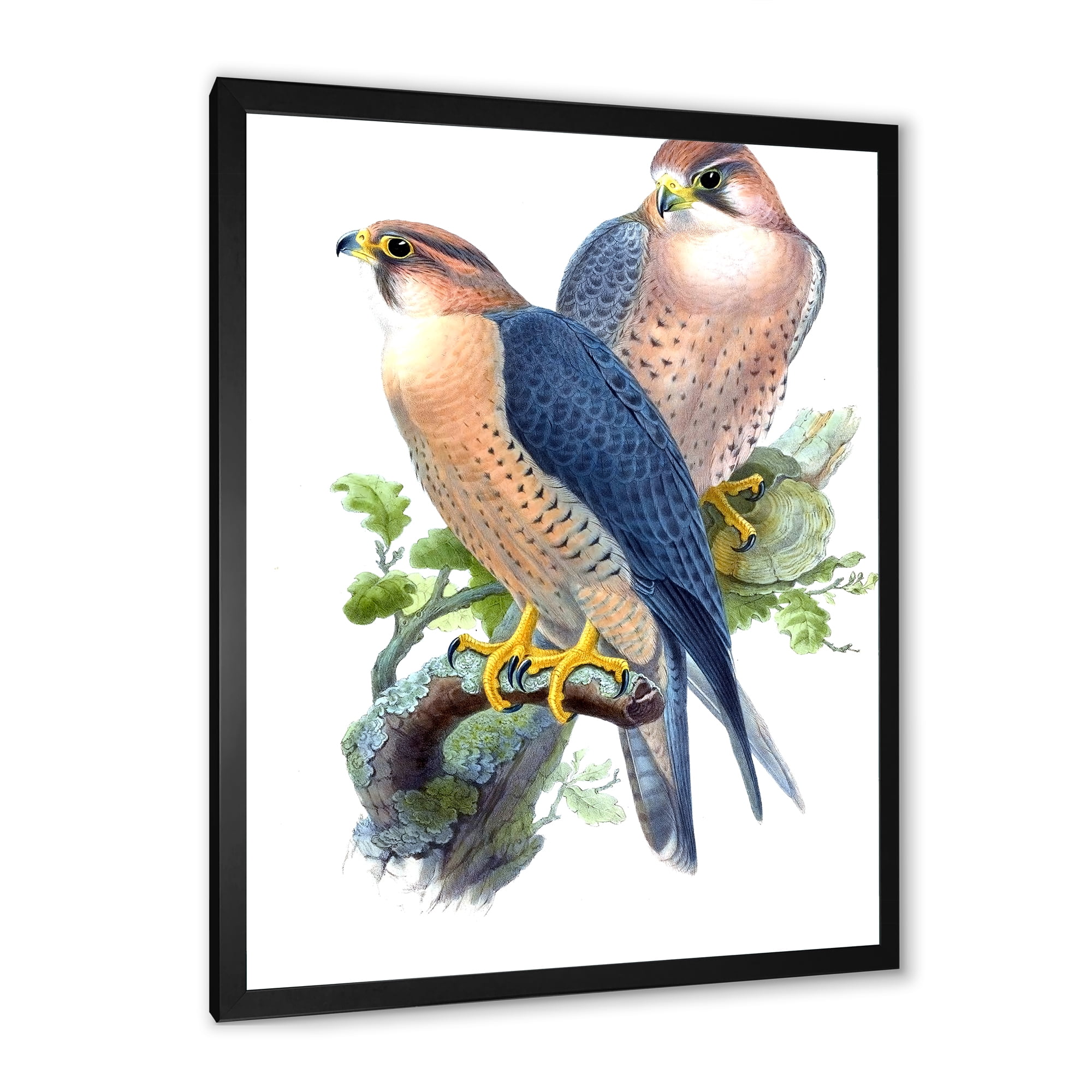 Designart 'Ancient Birds II' Traditional Framed Art Print