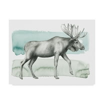 Trademark Fine Art 'Animal III' Canvas Art by Grace Popp