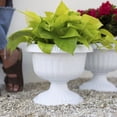 thumbnail image 2 of Bloem Grecian Urn 12" Round White Plastic Planter Pot with Drainage Holes, 2 of 8