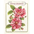 thumbnail image 2 of Babbitt, Gwendolyn 19x24 Gold Ornate Wood Framed with Double Matting Museum Art Print Titled - Rosa Mundi, 2 of 4