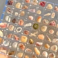 thumbnail image 3 of Acrylic Magnetic Seashell Display Box Seashell Display Box Diamond Storage Box, 3 of 9