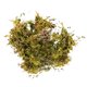 thumbnail image 1 of ¡Ofertas relámpago! Flores artificiales Accaprate, musgo artificial para plantas en maceta, musgo verde, decoración del hogar, jardín de hadas, manualidades, decoración de bodas, plantas artificiales, 1 of 8