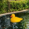 thumbnail image 6 of Duck Statue Animal Sculpture Resin Material Easy Setup for Pond Lawn Patio Decoration Lovers, 6 of 8