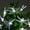 White, variant on Solar Dragonfly String Lights,5m 20LED Solar Outdoor Light String with 8 Mode Waterproof Fairy Lights Decorative Lighting for Indoor/Outdoor Home