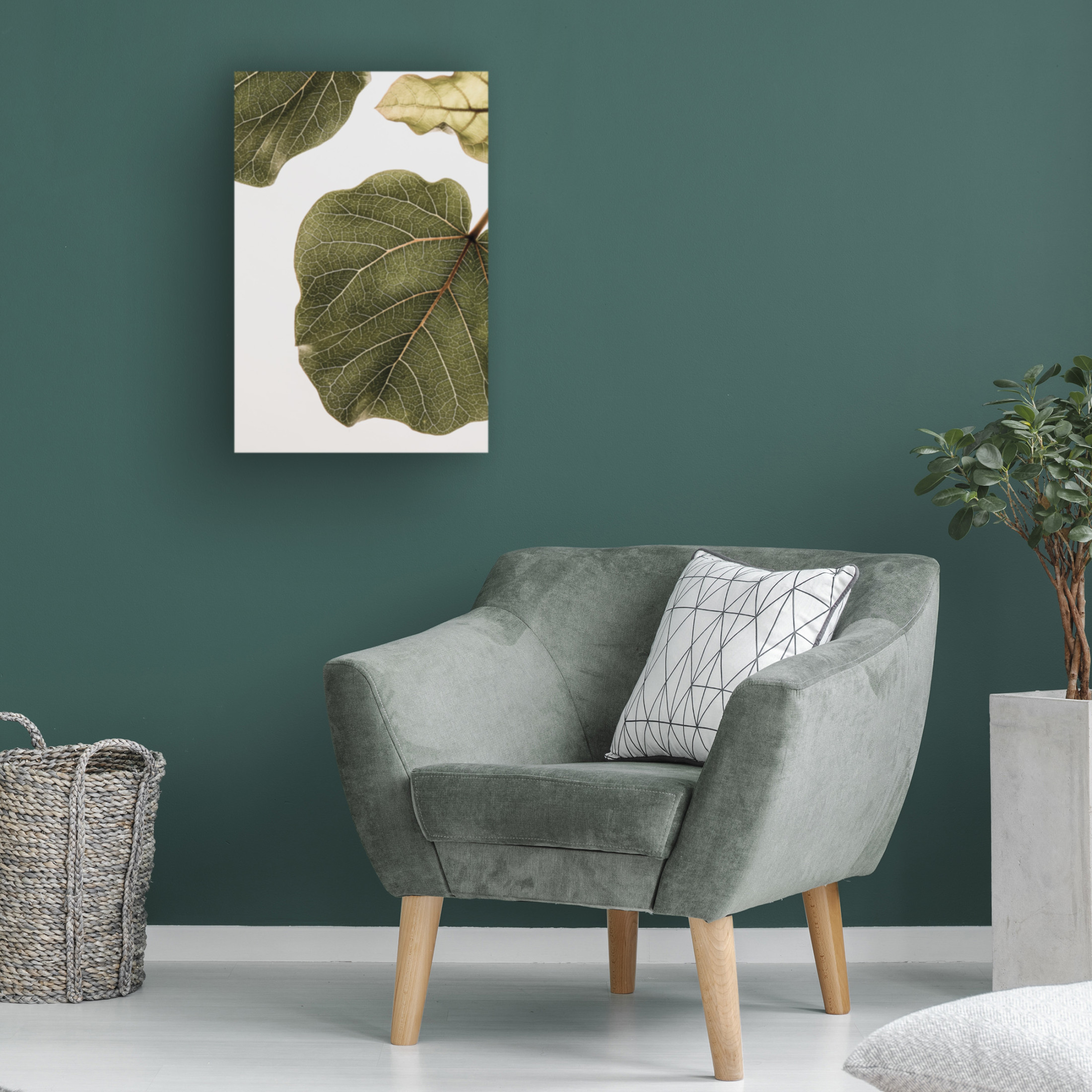 Trademark Fine Art Shot by Clint Abutifolia No2 Canvas Wall Art