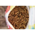 thumbnail image 2 of Wonder Grubs Calcium Craze 5 Lb. Black Soldier Fly Larvae PH560, 2 of 3