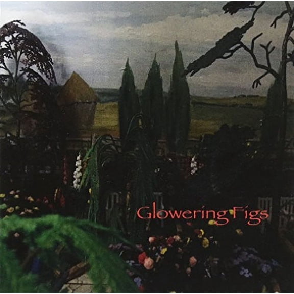 GLOWERING FIGS