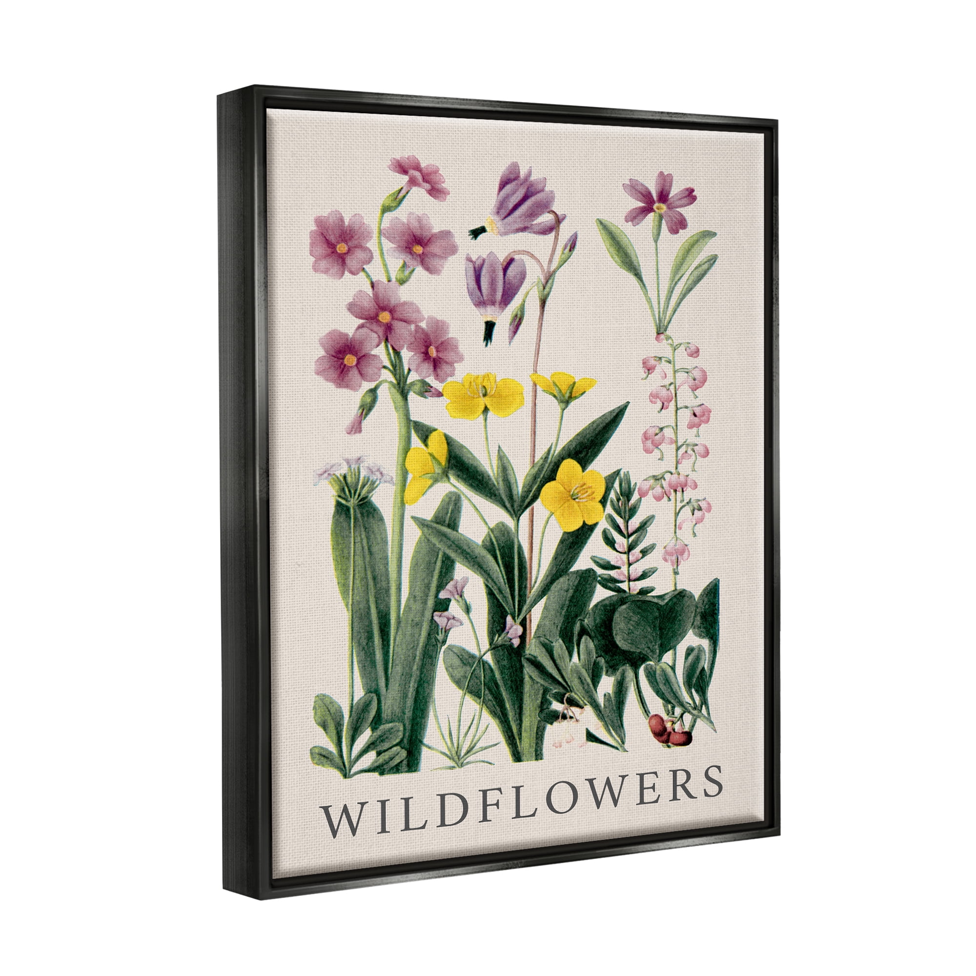 Stupell Industries Various Wildflowers Study Botanical & Floral Painting Black Floater Framed Canvas Art Print Wall Art, 25 x 31