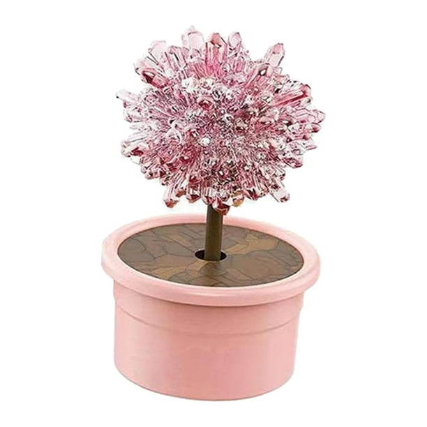 Novedad Crystal Tree Growing , Crystal Science Experiments Toy, Learning Educational Toy, Science s para pequeños Niñas Rojo Sunnimix Crecimiento de cristales