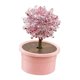 thumbnail image 1 of Novedad Crystal Tree Growing , Crystal Science Experiments Toy, Learning Educational Toy, Science s para pequeños Niñas Rojo Sunnimix Crecimiento de cristales, 1 of 8