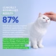 thumbnail image 4 of Coco and Luna Multivitamin for Cats - Daily Support - L-Lysine, Taurine, and Spirulina for Immune Support and Eye Health, 4 of 8