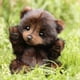 thumbnail image 5 of Purely Handmade Plush Baby Bears - Cute Bear Stuffed Animals, Lifelike Classic Teddy Bear, Premium Stuffed Animal-SDR, 5 of 5