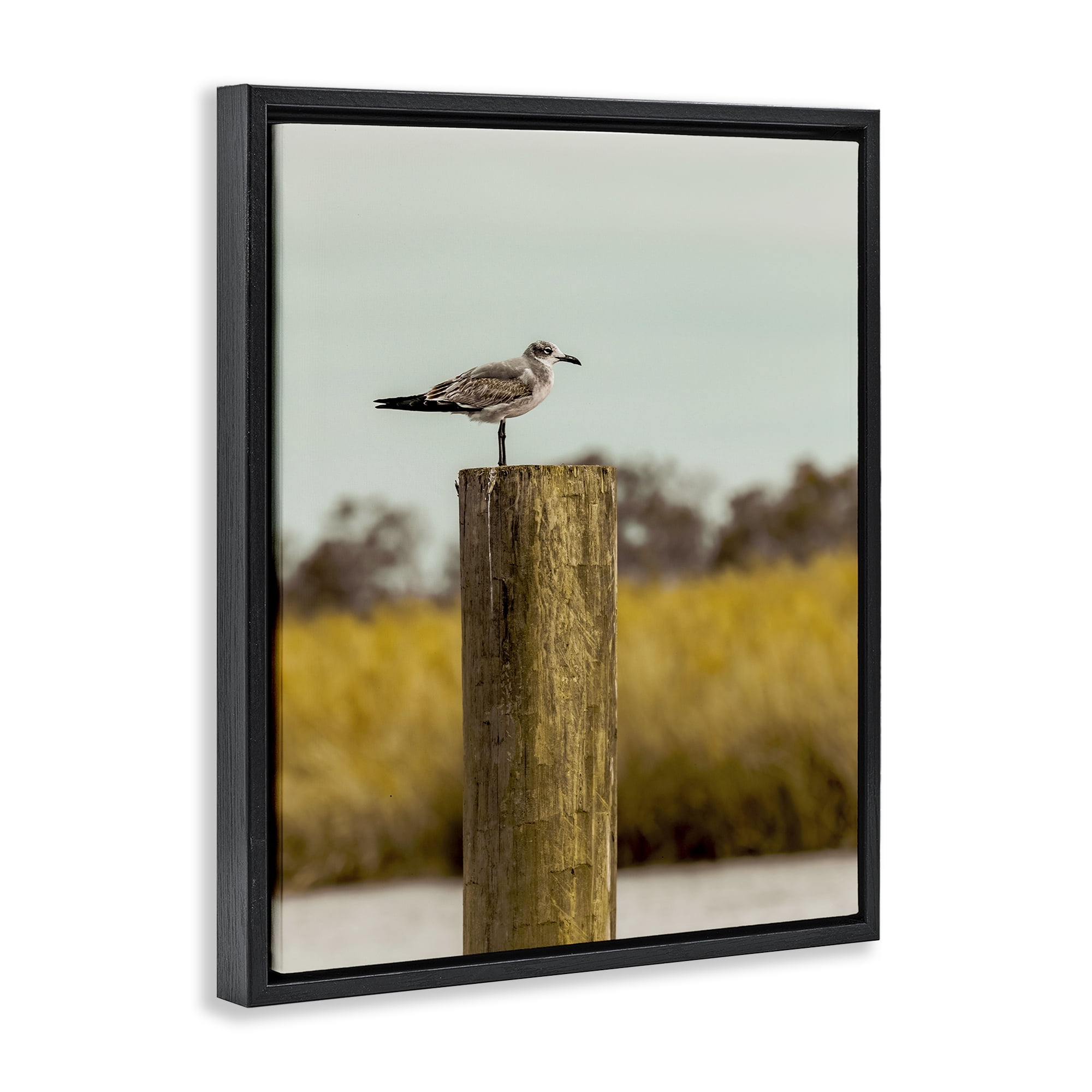 Stupell Industries Gull On Piling Black Framed Floater Canvas Wall Art, design by Christy Berry