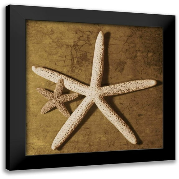 Kelly, Caroline 12x12 Black Modern Framed Museum Art Print Titled - Starfish