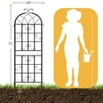 thumbnail image 2 of DWVO Metal Decorative Garden Fencing 4 Pack Black Trellis for Climbing Plants Vegetables Flower Plant Trellis for Outdoor Patio(19.7"×70.9"), 2 of 6