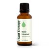 Plant Therapy Basil Linalool Essential Oil 30 mL (1 oz) 100% Pure, Undiluted, Therapeutic Grade