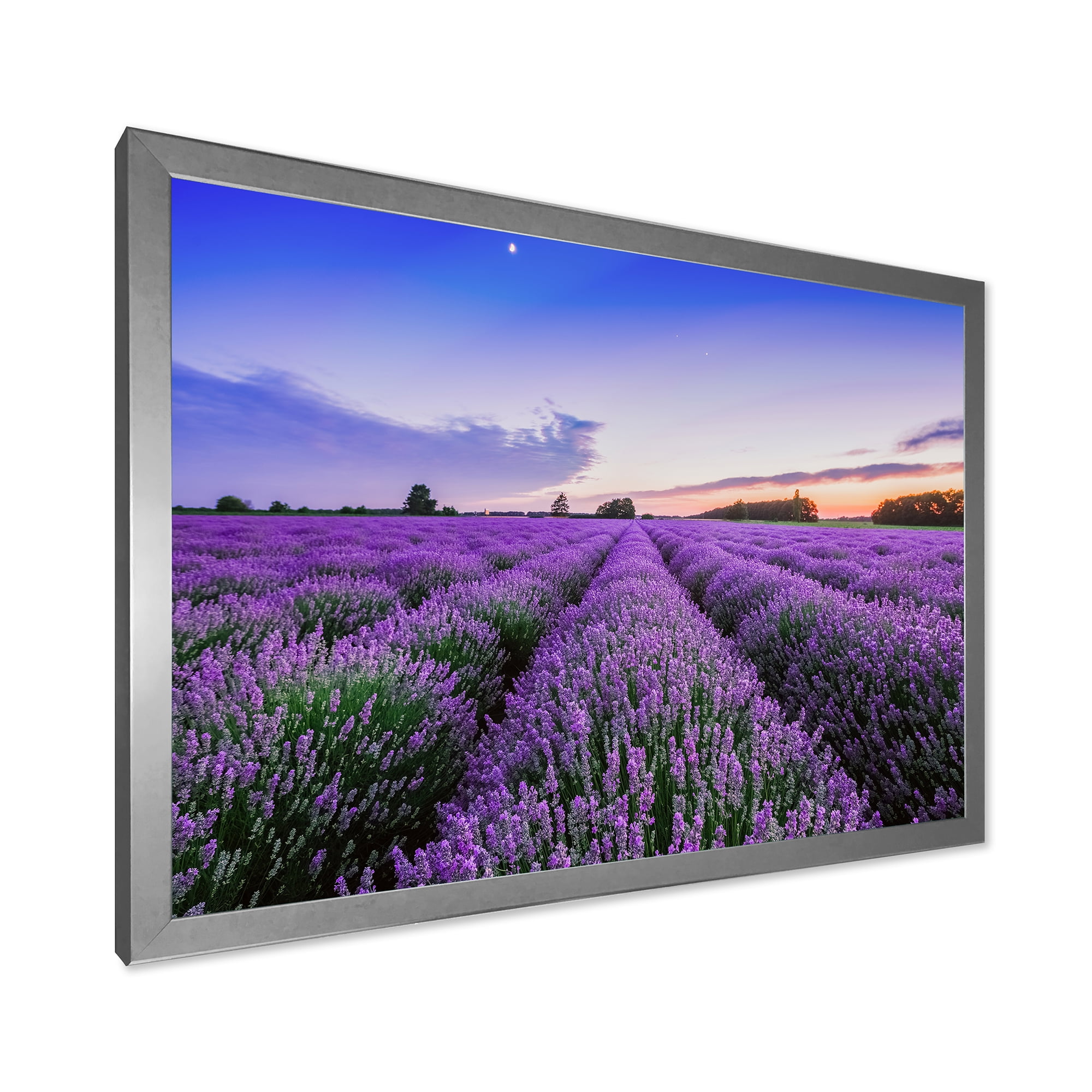 Designart 'Dramatic Clouds and Sunrise Over Lavender Field II' Farmhouse Framed Art Print