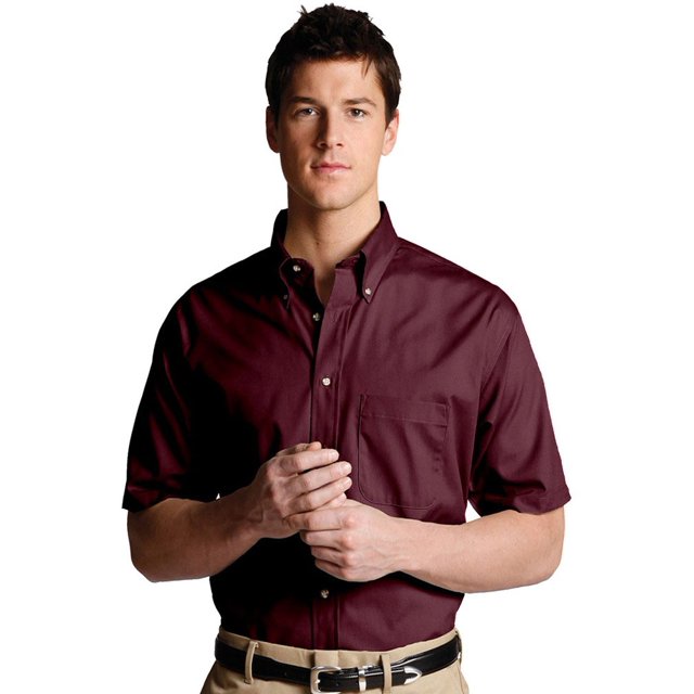 Edwards Men's Button Down Short Sleeve Poplin Shirt, Wine, Large Tall