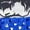 Blue White, variant on Kids Boys Muay Thai Shorts MMA Kickboxing Fighting Trunks Shorts Sequins Sides Slit Grappling Bottoms Red 8