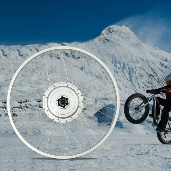 24" 36V 750W Electric Bike Conversion Kit, Electric Bike Front Wheel Kit