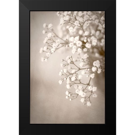 Stalus, Judy 11x14 Black Modern Framed Museum Art Print Titled - Cascade