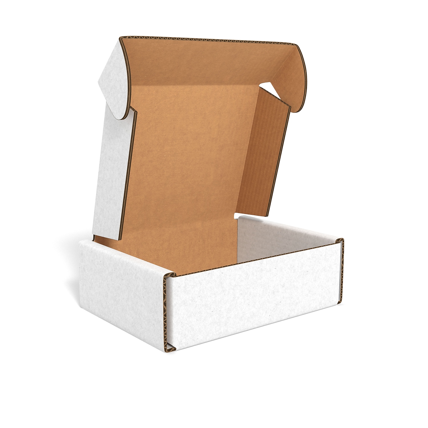 Staples 11 x 6 1/2 x 2 3/4 Literature Mailers White 62WLM110602