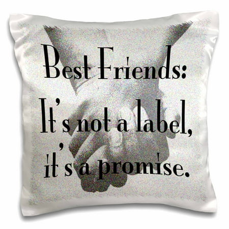 3dRose Best friends its not a label its a promise, Pillow Case, 16 by
