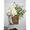white, variant on Cream Hydrangea Door Hanger Basket Wreath, Farmhouse Wreath with Wildflowers, Artificial Spring Summer Garland for Front Door, Seasonal Holiday Ornament (C)