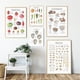 thumbnail image 2 of Póster con impresión de comida, verduras, frutas, setas, chiles, pimientos, pasta, formas, arte de pared, lienzo, imagen para decoración del hogar y la cocina, 2 of 5