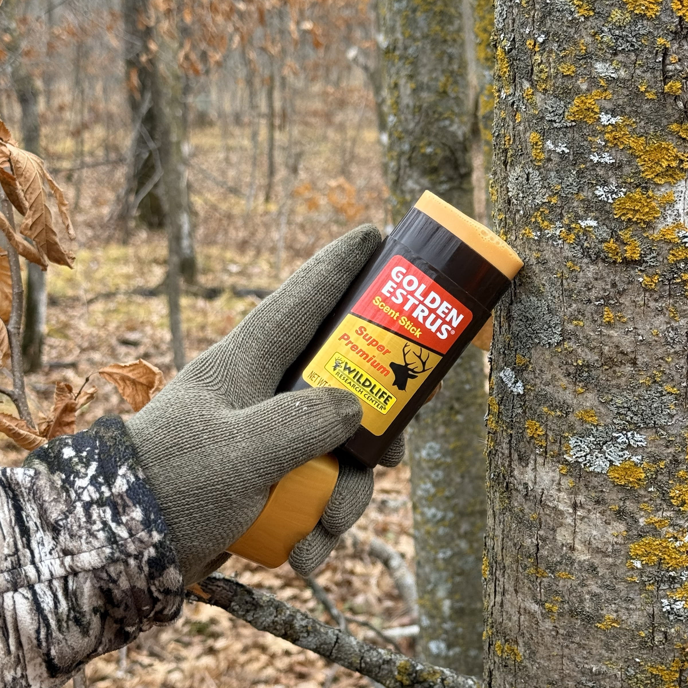 Wildlife Research Center Golden Estrus Scent Stick 2.5 oz Fresh and Premium Doe Estrus Scent